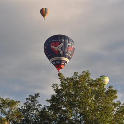 DSC_0426r