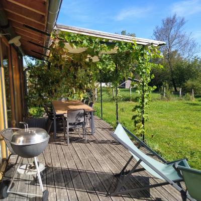 Terrasse vigne 2024
